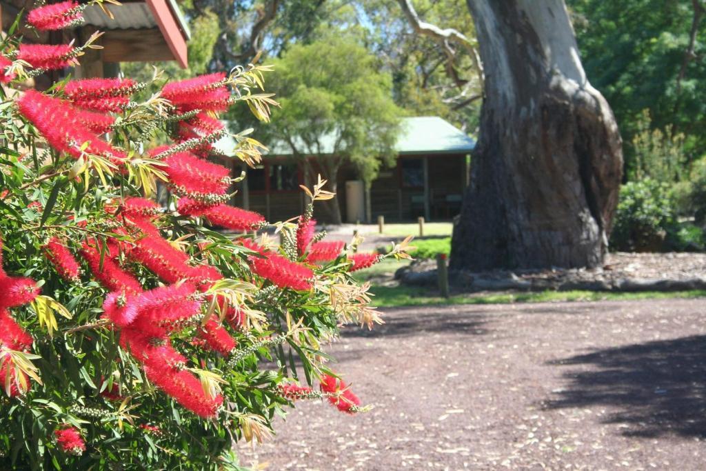Southern Grampians Cottages Dunkeld Ngoại thất bức ảnh