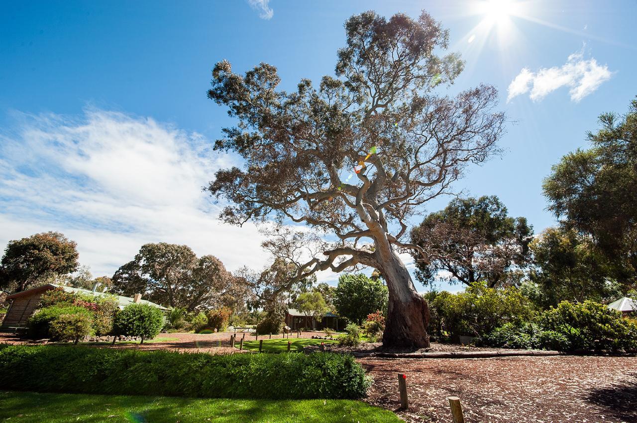 Southern Grampians Cottages Dunkeld Ngoại thất bức ảnh