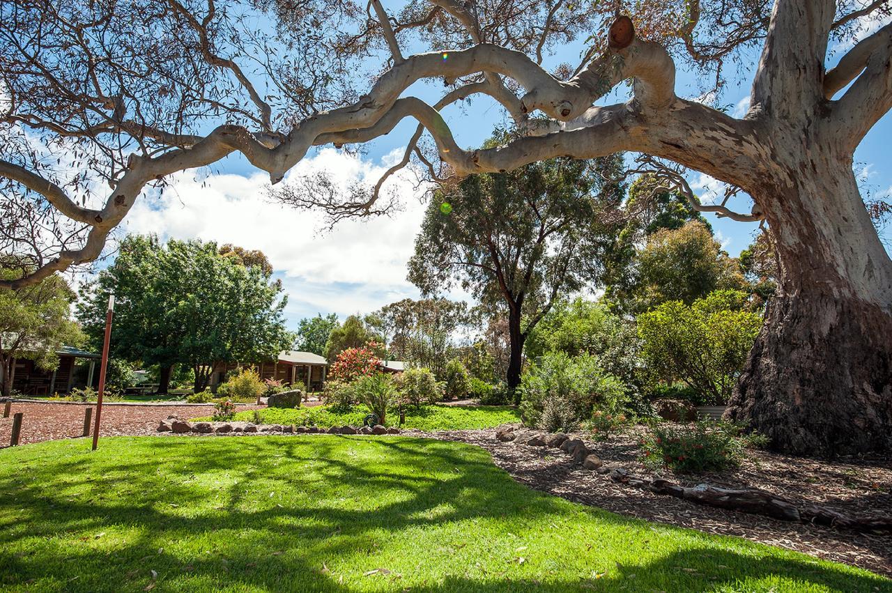 Southern Grampians Cottages Dunkeld Ngoại thất bức ảnh